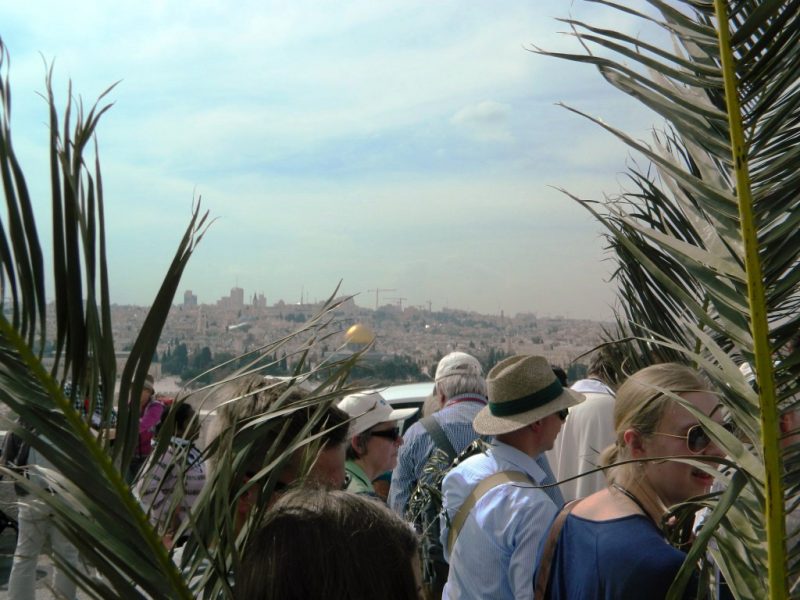 Impressions from the Palm sunday procession in Jerusalem 2014