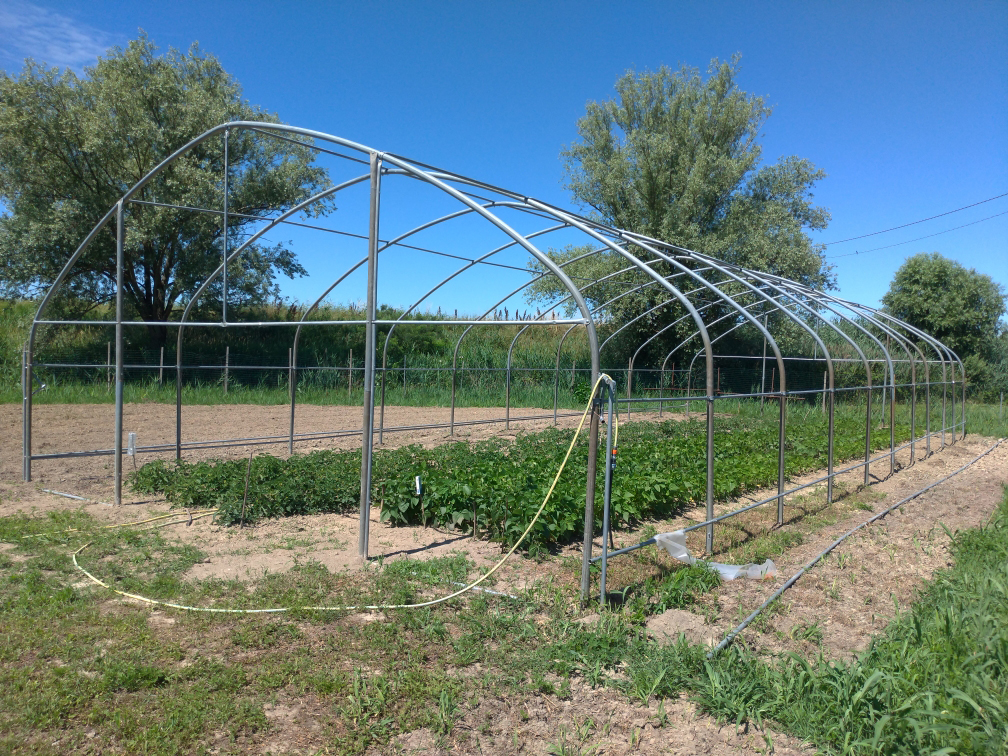 La serra donata dall'azienda Cultiva