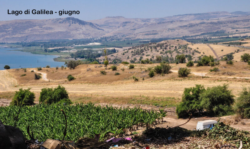 lago-di-galilea-giugno